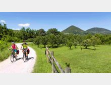 mdanesin_slowbikeogd_9321