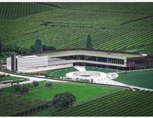 Edificio moderno a forma di "L" circondato da ampi vigneti ondulati, con un design caratterizzato da vetrate continue e tetto verde. La struttura sorge in un paesaggio rurale, con prati curati e alberi sparsi nei dintorni.
