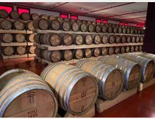 whatsapp-image-2021-07-31-at-19-17-00-4