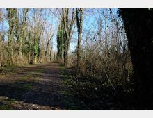 zago-germano-este-2021-oasi-restara-20-9