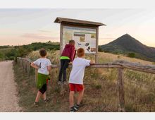 mdanesin_termeogd_2217