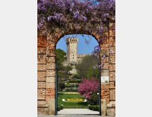 trivellato-giardini-17-02-2020-4