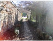 vignacontarena2021_01_31_esterni_galleriaglicineinverno