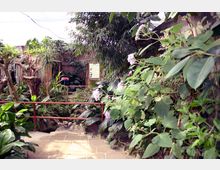Percorso pavimentato in un’area tipo serra o giardino botanico, circondato da vegetazione tropicale fitta con grandi foglie e fiori viola. Una ringhiera in legno costeggia il sentiero e sullo sfondo si vede un pannello informativo fissato a una parete.
