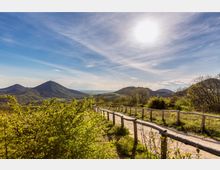 mdanesin_arquaogd_0517