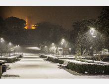 trivellato-giardini-17-02-2020-11