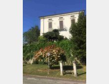 c380d88c-6c95-442b-8778-ed40d138e071