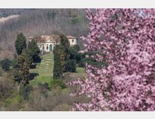 trivellato-palazzo-del-principe-18-03-2019