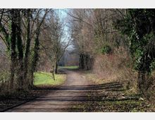 zago-germano-este-2021-oasi-restara-20-19