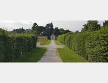 45729987405_65f46cda38_o