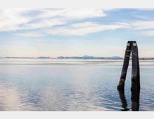 mdanesin_termeogd_0315