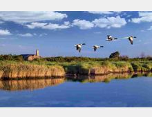 6f3a870191d746d68c0718132a3862b0-unesco-cycle