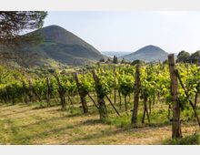 mdanesin_villabassiogd_1980