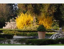 giardino_italiana2