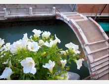 schermata-2020-11-10-alle-16-38-11