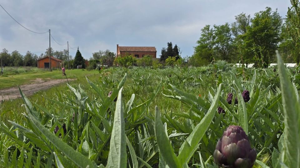 PHOTO-2024-04-20-15-13-48 (2).jpg