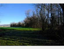 zago-germano-este-2021-oasi-restara-20-8