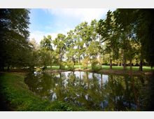Laghetto in un parco alberato, con sponde erbose e alti alberi che si riflettono nell’acqua calma. Sullo sfondo si vede un’ampia area verde sotto un cielo parzialmente nuvoloso.