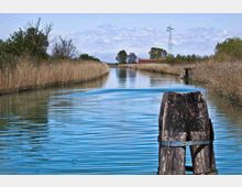 Canale d’acqua tranquillo tra alti canneti, con increspature sulla superficie e un palo di legno in primo piano. Sullo sfondo si vedono alberi, una casa rossa e un traliccio elettrico sotto un cielo parzialmente nuvoloso.