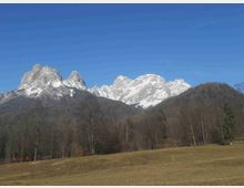 Panorama montano con alte cime rocciose innevate sullo sfondo sotto un cielo azzurro limpido. In primo piano si vede un prato ondulato e una fascia di bosco con alberi spogli ai piedi delle montagne.
