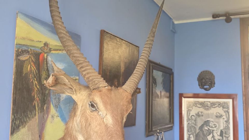 Interno di una stanza con pareti blu e soffitto bianco, decorata con un trofeo di testa di antilope dalle lunghe corna montato a parete. Sotto, un tavolino in legno con un vaso di fiori e vari quadri e cornici appesi e appoggiati lungo la parete.