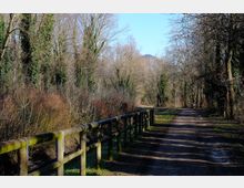 zago-germano-este-2021-oasi-restara-20-20