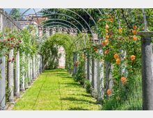 castellodithiene_giardinocedraia