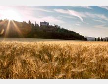 mdanesin_villadraghiogd_9083x