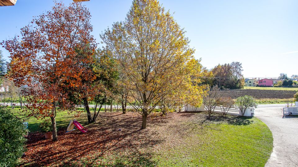 Giardino residenziale con prato e grandi alberi a foglie autunnali, con molte foglie cadute al suolo e un piccolo scivolo per bambini vicino al tronco. Sullo sfondo si vedono una strada, campi aperti e alcune case, con travi di una tettoia in legno in alto nell’inquadratura.