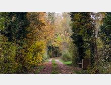 trivellato-oasi-della-restara-14-11-2020