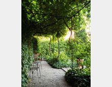 resized_pergola-uva-moscata