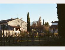 Veduta rurale con vigneto in primo piano e case in intonaco chiaro con tetti in coppi rossi. Sullo sfondo si vedono alti cipressi e un campanile in muratura che svetta sopra gli alberi.