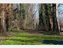 zago-germano-este-2021-oasi-restara-20-1