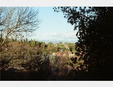 Veduta panoramica di una zona collinare con alberi in primo piano e case sparse tra il verde, con montagne sullo sfondo sotto un cielo parzialmente nuvoloso. La scena è incorniciata da rami spogli a sinistra e da una chioma fitta e scura a destra.