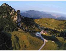 shutterstock_1169436400