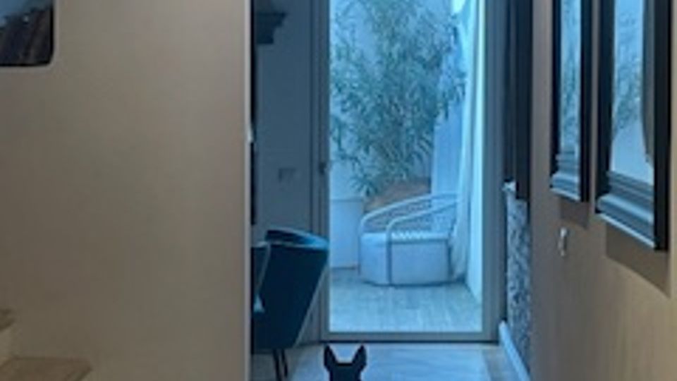 Corridoio interno con pavimento in legno che conduce a una porta a vetri, oltre la quale si vede un piccolo patio con una sedia e piante. A sinistra ci sono gradini e una parete divisoria, mentre a destra sono appesi specchi rettangolari lungo la parete.