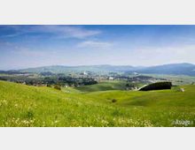 prati_altopiano_di_asiago_con_asiago_sullo_sfondo_fb
