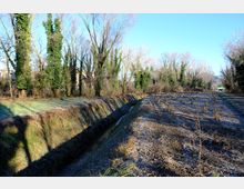 zago-germano-este-2021-oasi-restara-20-17