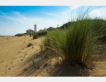 Dune sabbiose costiere con ciuffi di erba alta in primo piano e una spiaggia sullo sfondo. In lontananza si vede un faro bianco accanto a un edificio con tetto rosso, sotto un cielo sereno.