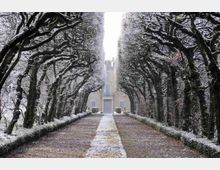 viale-dei-carpini-verso-la-villa