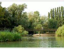 Fiume o canale in un’area naturale con acqua verde e vegetazione fitta sulle rive, tra canneti e alberi alti. Un ponte pedonale in metallo attraversa l’acqua, con un piccolo approdo o piattaforma in legno vicino alla sponda.