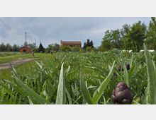 PHOTO-2024-04-20-15-13-48 (2).jpg