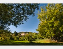 Ampio parco verde con prato e alberi ad alto fusto che formano un viale ombreggiato sulla destra. Sullo sfondo, tra le colline boscose, si vede un edificio in stile villa con portico ad archi sotto un cielo sereno.