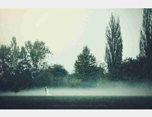 fog-ottobre