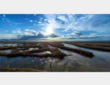 Veduta panoramica di una zona umida con canali d’acqua sinuosi tra banchi di vegetazione bassa. Il cielo ampio e nuvoloso con il sole basso si riflette sulla superficie calma dell’acqua.