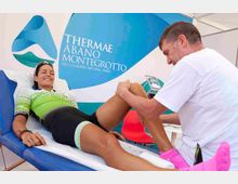 mdanesin_termeogd_6022