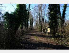 zago-germano-este-2021-oasi-restara-20-10