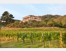 Villa storica su una collina, con loggiato ad archi e terrazza in pietra, circondata da alberi e pendii boscosi. In primo piano si estendono filari di vigneto con pali di sostegno in un paesaggio rurale.