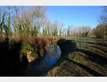 zago-germano-este-2021-oasi-restara-20-2