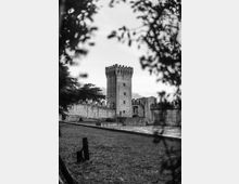 mallqui-este-foro-boario